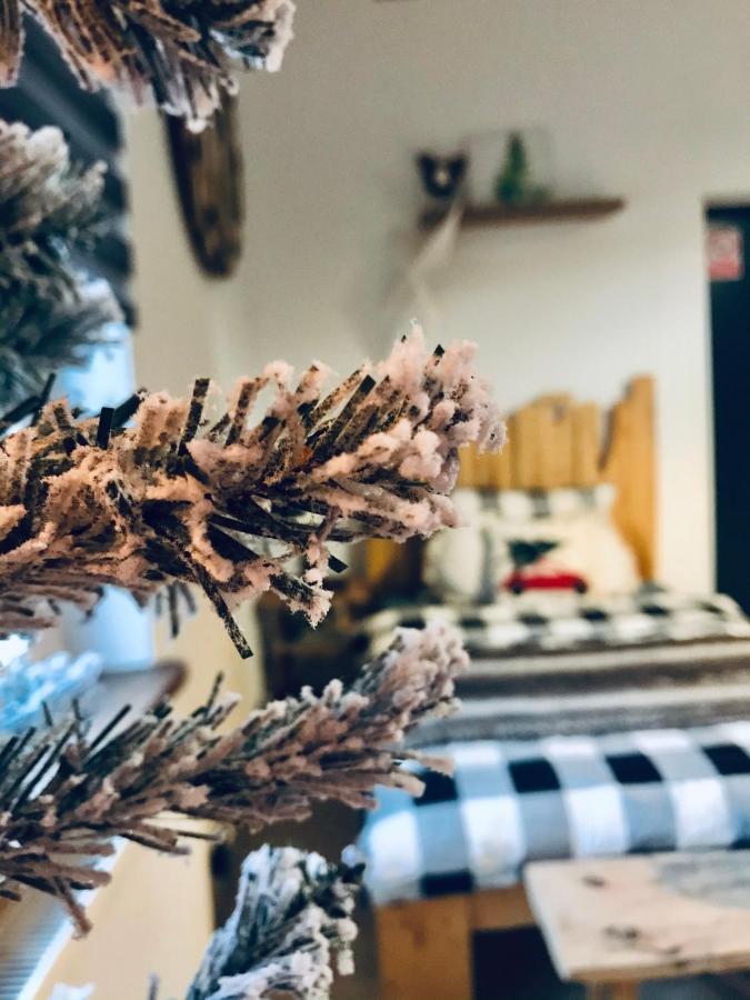 Siedlisko Farmhouse Okszow エクステリア 写真